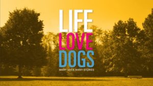 life love dogs poster