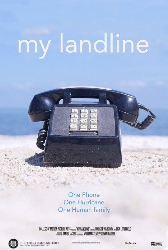 my landline