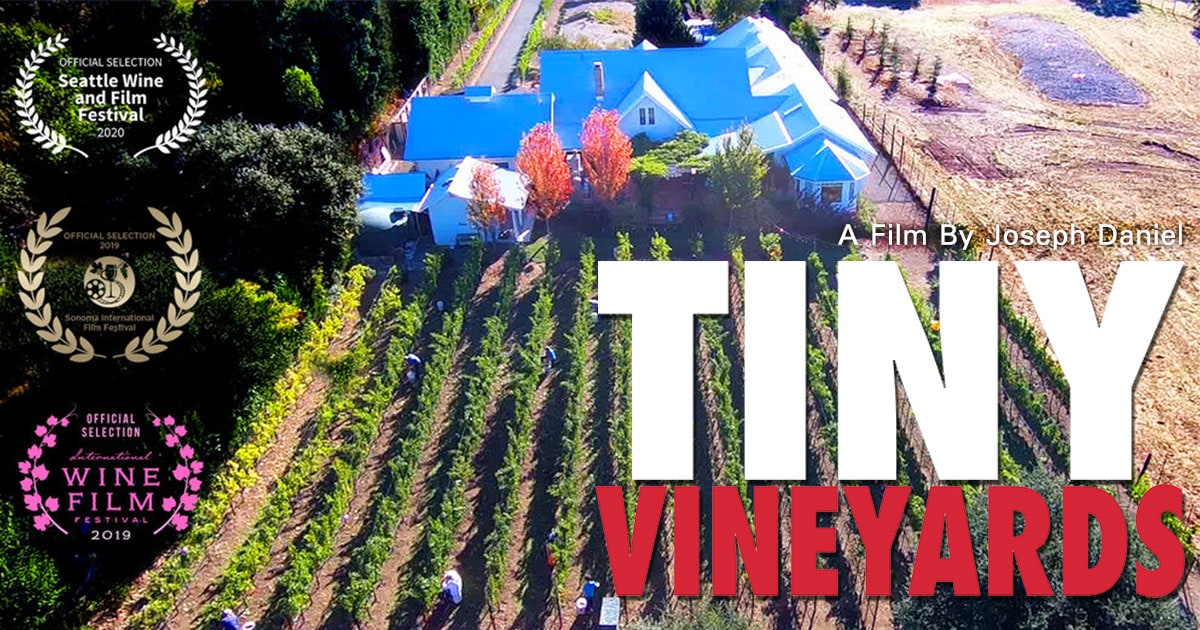 tiny vineyards