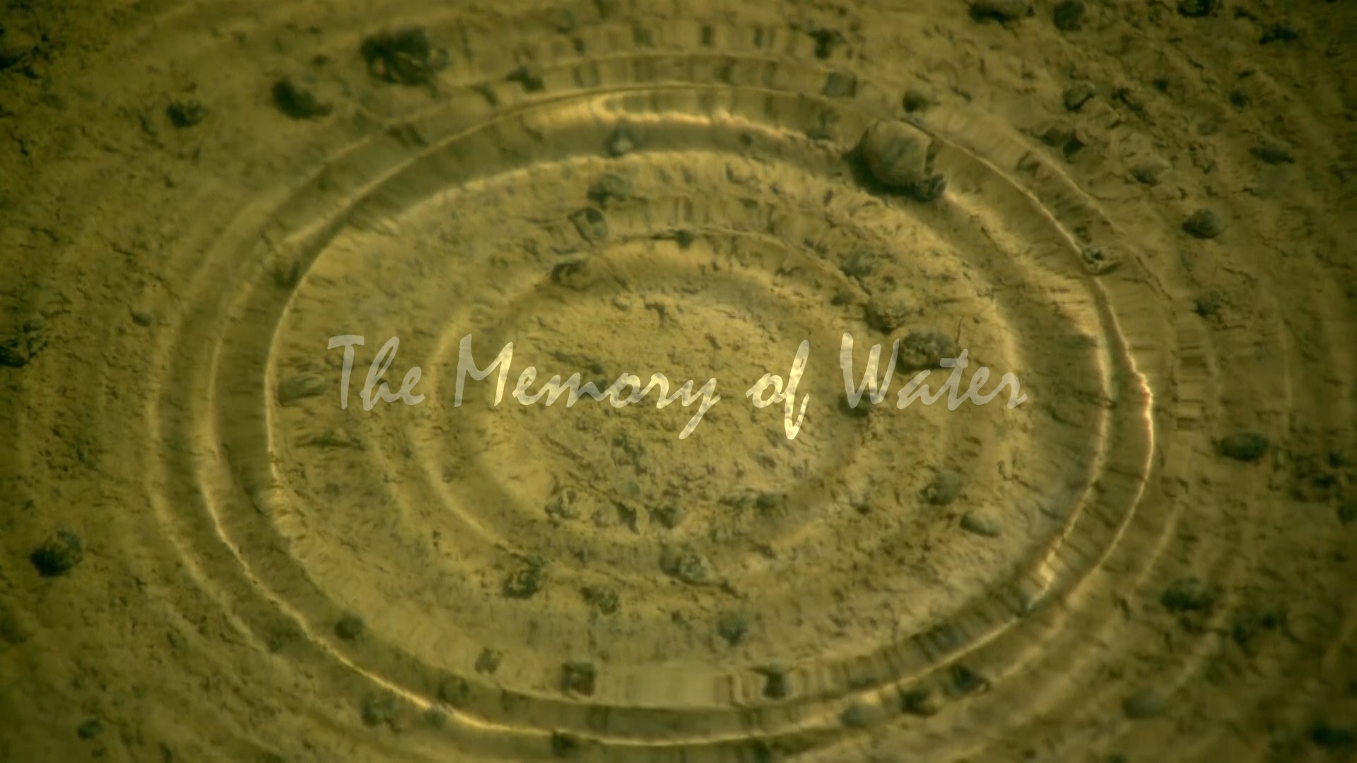the memory of water