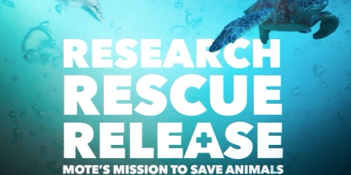 Research Rescue Release Featured