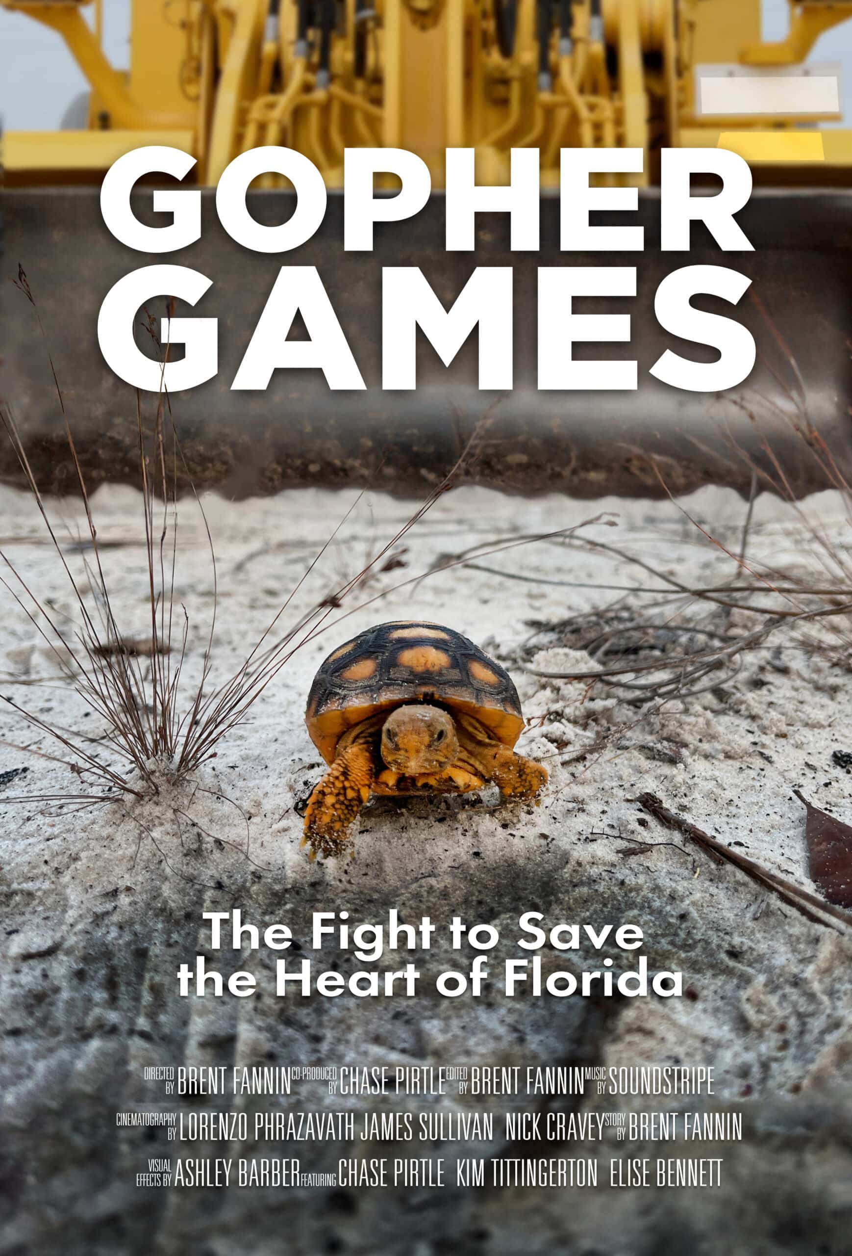 Tiny turtle on the sand with construction equipment in the background.